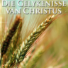 Die Gelykenisse van Christus